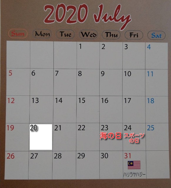 f:id:risoka17:20200405103729j:plain