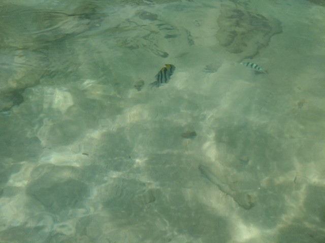 f:id:risoka17:20200412111027j:plain