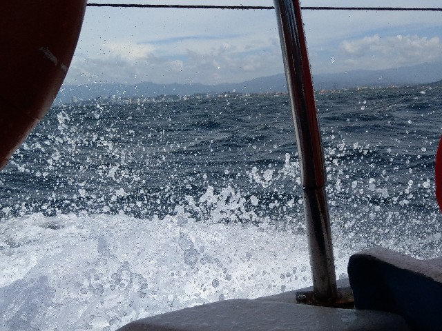 f:id:risoka17:20200412214226j:plain
