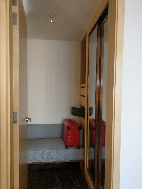 f:id:risoka17:20200512165510j:plain