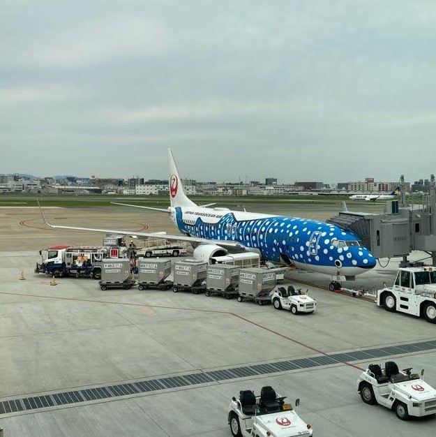 ジンベエジェット Jta Nu 53便 福岡空港 那覇空港 クラスj搭乗記 当日アップグレードやお得な予約方法もご紹介 陸マイラー親子の旅日記 ジンベエジェット Jta Nu 53便 福岡空港 那覇空港 クラスj搭乗記 当日アップグレードやお得な予約方法もご紹介 陸マイラー親子の旅日記