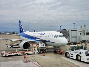 ANA 2020年の獲得PPに応じてもらえる「選べる特典」の申込みが開始。申込方法を解説