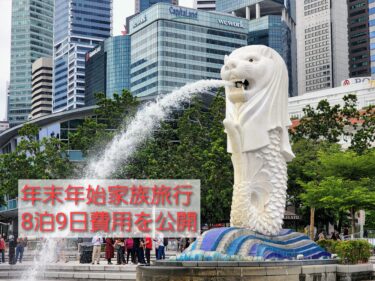 2022-2023年末年始　家族4人で8泊9日シンガポール&マレーシア旅行の費用を大公開