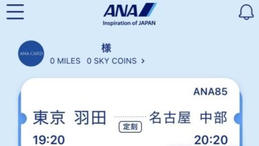 ANA国内線特典航空券の予約方法を詳しく解説。ルール、必要マイル数チャート、ファミリーマイル、特典利用者登録もご紹介。
